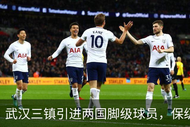 武汉三镇引进两国脚级球员，保级前景乐观